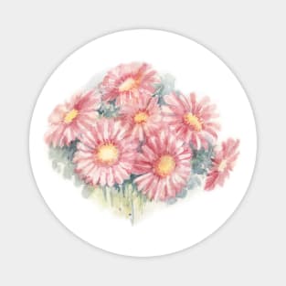 Pink Gerbera Hybrida. Watercolor Illustration. Magnet